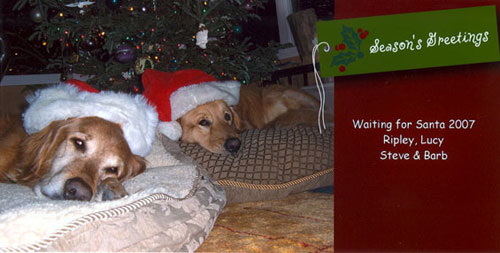 Xmascard07500