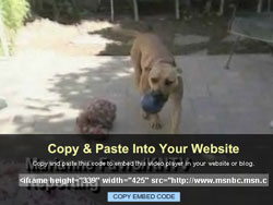 Embedvideo