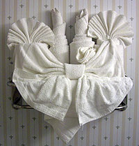 Towel Art
