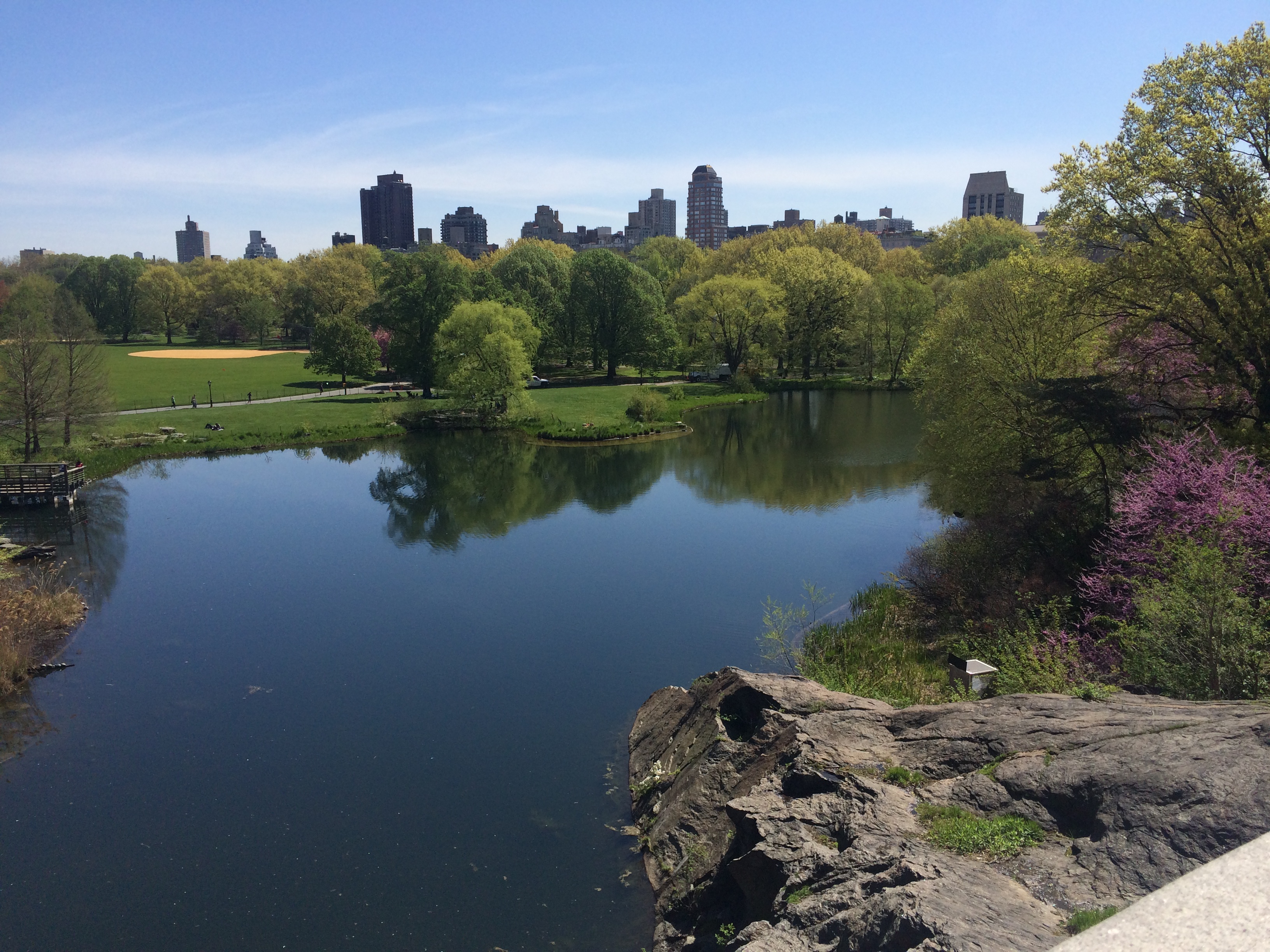 NYC skyline from Central Park | smays.com